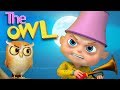 TooToo boy - The Owl Episode | Many More Cartoon Animation For Children | Videogyan Kids Shows