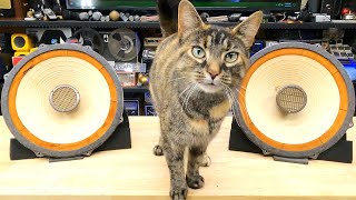 1959 Lafayette Coaxial Loudspeaker Destruction