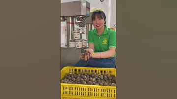 Công dụng của tỏi đen Ecofo