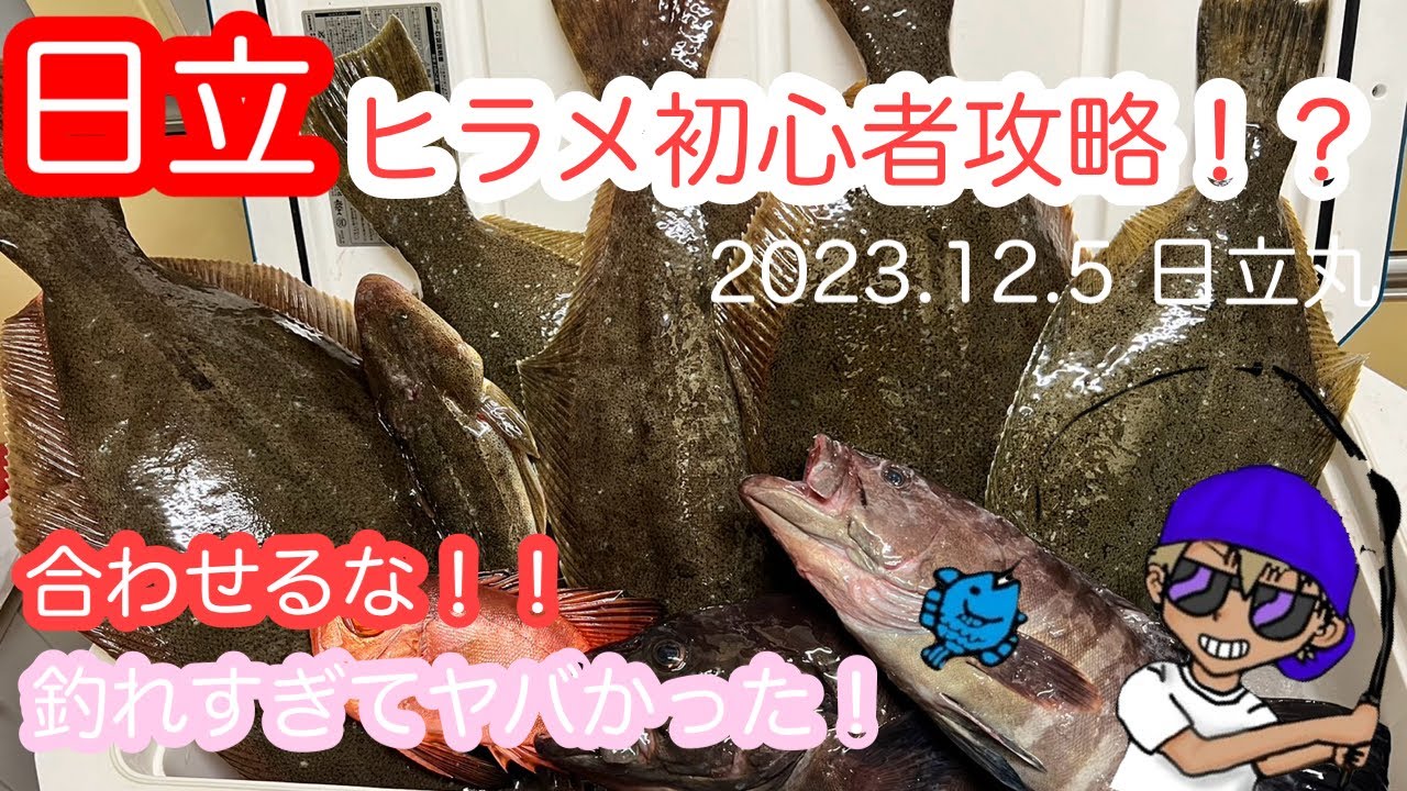 【日立丸】ヒラメ初心者完全攻略！？2023.12.5/ヒラメ2回目にして大型ヒラメ多数！