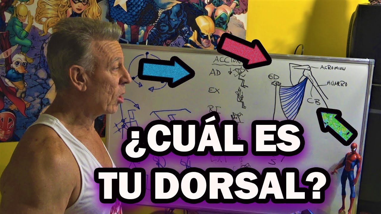 MITO DEL PASADO ERROR DEL PRESENTE *TODO SOBRE LA FORMA DEL DORSAL*