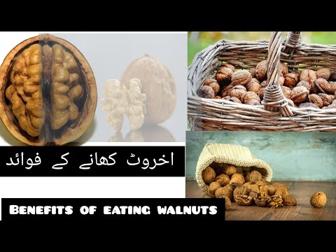 Video: Walnuts: Faida
