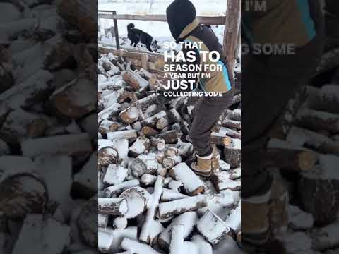 🥶 Brutal Winter