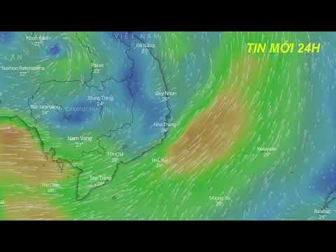 Video Dự báo thời tiết hôm nay mới nhất ngày 30/9 | Dự báo... - youtube