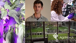 Indiana's Agbioscience Story | AgriNovus Indiana