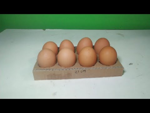  Membuat  wadah telur dari  kardus  YouTube