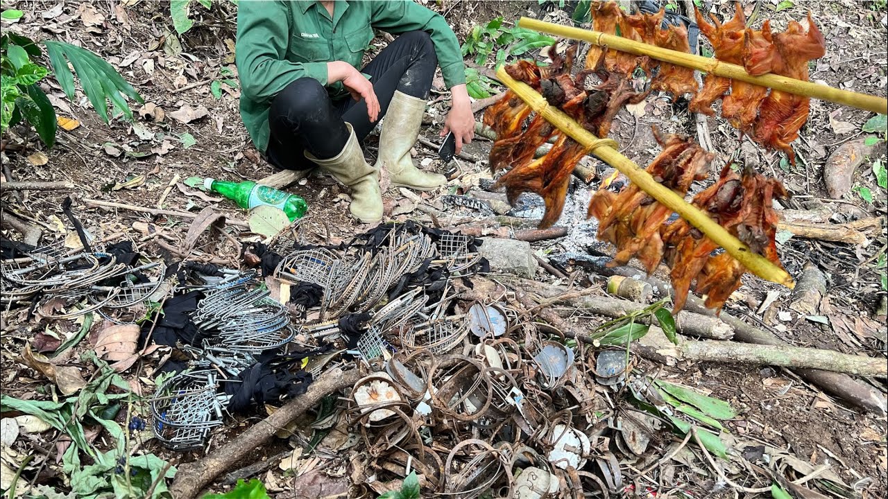 2 ngày 1 đêm trong rừng, di chuyển cạp và kiếm được thức ăn | Hoang Dã Núi Rừng