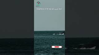 সাবমেরিন: সমুদ্রের নিচে লুকিয়ে থাকা মৃত্যুদূত! | Productive Info BD | #productiveinfobd #submarine