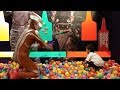 ウルトラマンフェスティバル2017　PartⅣ　ボール投げでメビウス！エース！と遊んだよ＼(*＾＾*)／　ゆうとん5歳