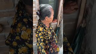 Yanto Diceluk Simbok Cah Kon Mulih #catlover #komedikucing #kucingkomedi #cats #lucu #catvideos Yanto Diceluk Simbok Cah Kon Mulih #catlover #komedikucing #kucingkomedi #cats #lucu #catvideos