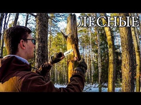 РАБОТА С НОЖОМ
