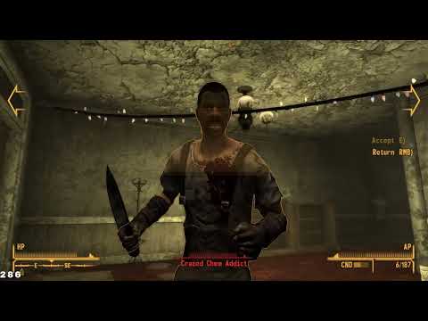 FALLOUT NEW VEGAS 2