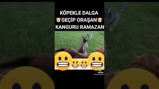 Ramazan deliye döndü 😂😂 Resimi