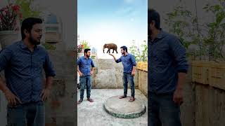 Elephant, horse, cow in my mouth magic on my clone - funny vfx 😂