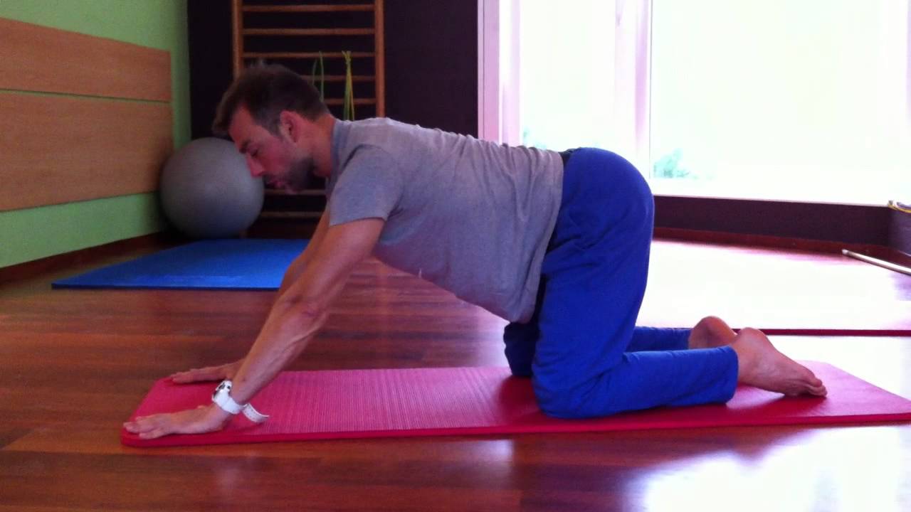 Sandro Zatta - personal trainer - formateur APOR B. de Gasquet - la quadrupédie