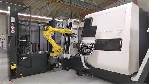 Halter Premium Turnstacker