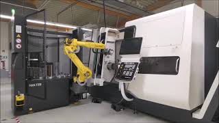 Halter Premium Turnstacker