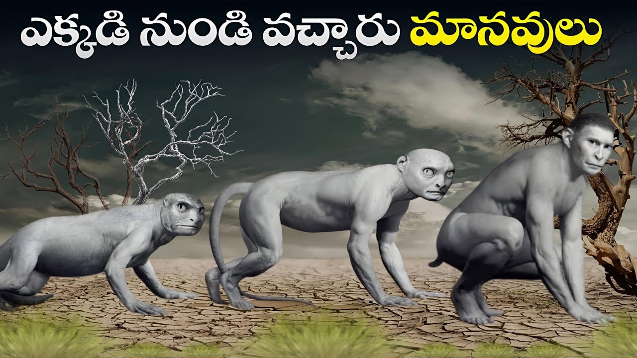 భూమిపై జీవం ఎలా మొదలైంది | Human Evolution Journey Explained In Telugu | Science Documentry Telugu 