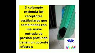 Columpio Sensorial