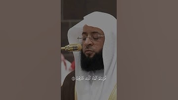 تلاوة أيوبية بديعة تفوق الجمال! ~ للشيخ بدر التركي 🤍🎧..