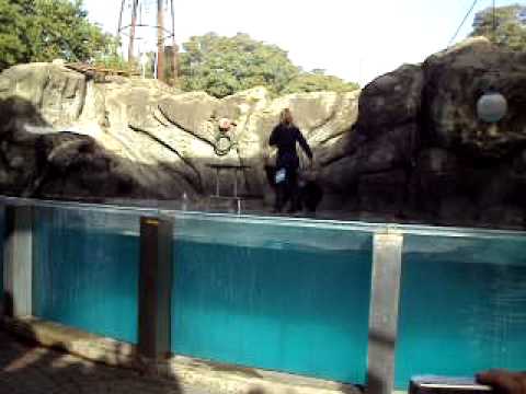 zoo - YouTube