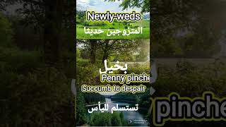 تعلم كل يوم كلمات الانجليزية  مع الجمل من الناطقين الاصليين #subscribe #subscribe #subscribe