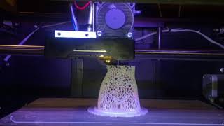 Makerbot Replicator 2X - Female Bust Part 4
