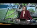 Storms keep local tree services busy