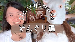 Electroformingエレクトロフォーミング　 どんぐり編　ゆかパカチャンネル