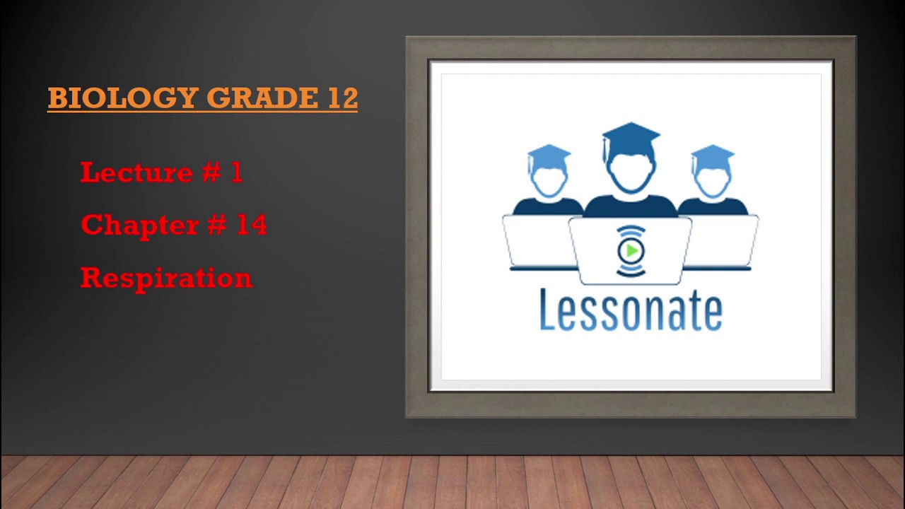 Respiratory System Lecture in Urdu/Hindi Biology Grade 12 2nd Year