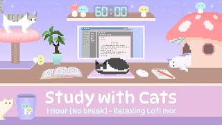 Study with Cats π 1 Hour Study Timer (No Break) x Animation | Relax & Focus in the Cute Mush-Room ππ±