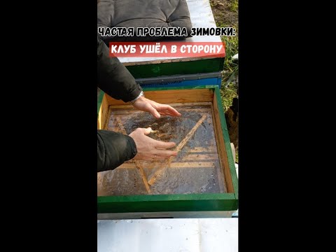 Выравнивание клуба зимой.