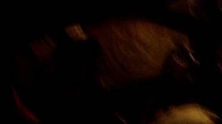 One To Many In Smart Car Part Ii