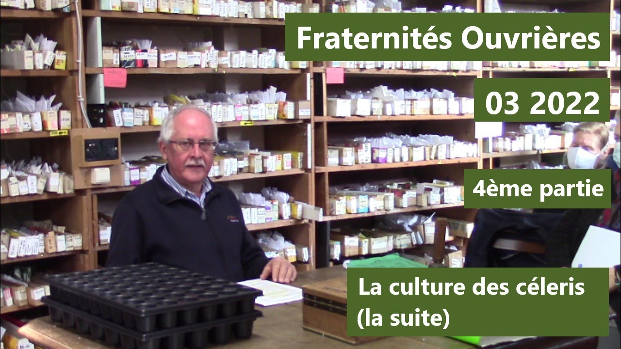 Fraternités Ouvrières - Cours 03 2022 partie 4 - La culture des céleris (2)