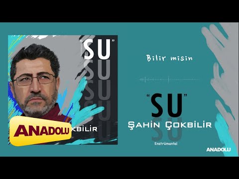 Şahin-Çokbilir---bilir-misin