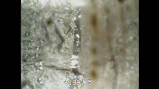 Oil Well Perforation in collar