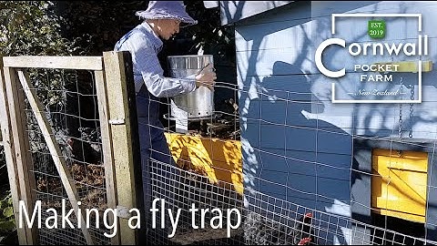 How to make a fly trap and DIY fly bait