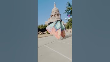 #viral #blender #butterfly #animation #vfx #aftereffects #CGI #shorts #reels #vfxindia