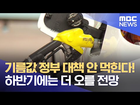 <strong>기름값</strong> 정부 대책 안 먹힌다! 하반기에는 더 오를 <strong>전망</strong> (2022.07.04/뉴스데스크/부산MBC)