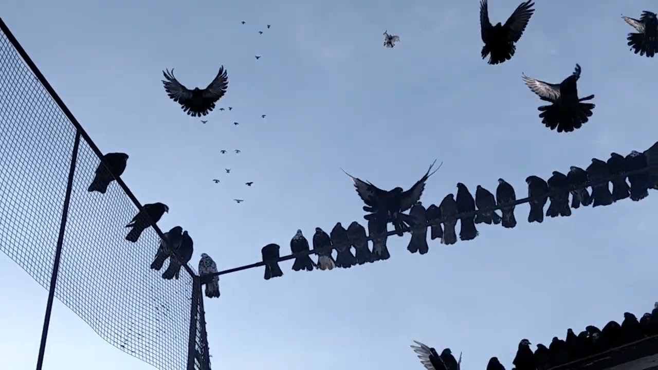 16 января 2026 г.