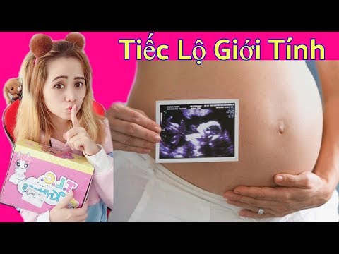 Bé Trai Hay Bé Gái ? Gender Reveal Party Là Gì?