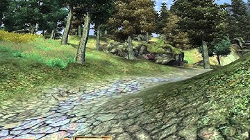 Elder Scrolls IV:  Oblivion in PlayOnLinux
