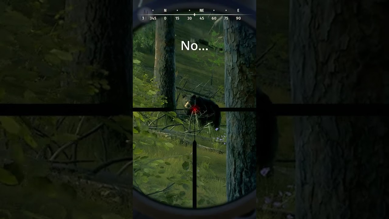 How should it END?🐻 I met female Black Bear... Black Beer Male Hunting | Way of the Hunter