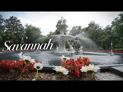 Vidéo: Après Avoir Offensé Dieu à Savannah, En Géorgie - Réseau Matador