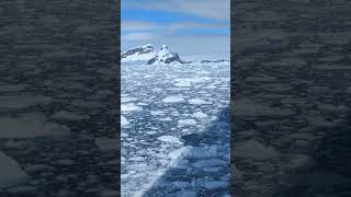 How Beautiful Is the Scenery on an Antarctica Cruise?