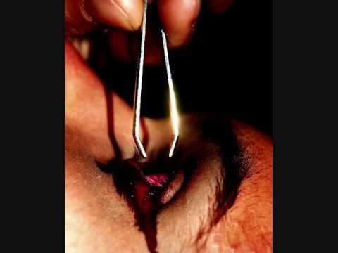 Throttler — Throttler - Human Value
