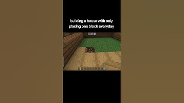 building a house with only placing one block everyday (day 84)