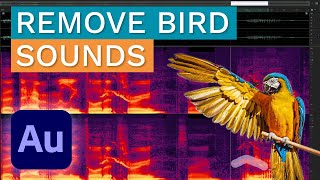 How to Remove Unwanted 🦉 Bird Sounds from Audio - When 🕊️ Gets in a way...
