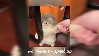 Download Lagu Tuty Wibowo - no coment (speed up) MP3 Download Lagu Tuty Wibowo - no coment (speed up) MP3