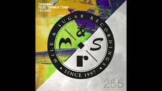 CASSIMM, Tamika Tyan - Release Feat Tamika Tyan (Extended Mix)